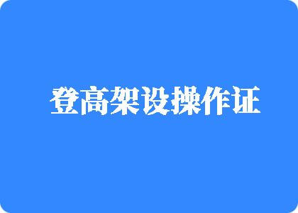 性欧美大黑逼登高架设操作证